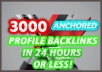 Create 3000 Profile Anchored Text Backlinks of Your Website in 24 Hours