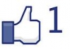 give you 500 facebook page like