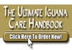 give you 50 top quality articles on Owning A Pet Iguana plus I will give you full PLR Private Label Rights to them