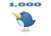 give you 1.000 Real Followers on your twitter without needing password!