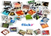 give you 10000 Flickr views in 48 hours FAST Help you get High search ranking on Search Engine