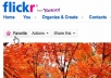 give you 4444 Flickr views and 50 favorites in 48 hours FAST Help you get High search ranking on Search Engine