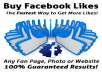 Send 500 Facebook LIKES to your fanpage within 24 hours 