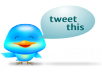 Give you BIG PROMO & Tweet to my HUGE NETWORK of 424,000 Twitter Followers for you!