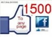  give you 1500 verified facebook fan page like for new fan page 