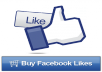 Get You 600 Facebook Likes With Fast Delivery