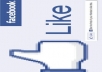 deliver 1600+ Real and active  facebook likes within 12 hours