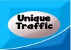 [Exclusively on seoclerks]give you 6000 to 12000 visitors every day forever get unique traffic software(Advanced Tutorial Free)