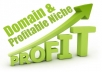 Give You a Highly Profitable 5000+ Niche with Low Competition and 12000+ Exact Match Domains
