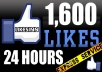  give 1600 facebook/likes with in 24 hours 