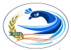 create 2 simple logo for your any kinds of business and others
