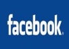  give you 350+ like facebook page
