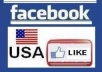 add 1000+ TOP quality USA  likes to your fanpages 