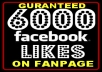 Get You 6000 FACEBOOK likes In Less Then 48hr 