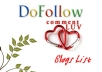 do professional blog commenting for your website for