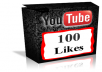 provide 100% real 100 youtube like