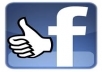 give 745 real facebook likes only 