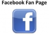 give you 100 facebook fan page like for new facebook fan page