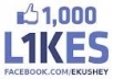 get you 210 facebook fans page like!! 100% real only