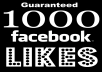 Give You 1000 Facebook Likes to Any Website Domain in 24 hrs Guaranteed