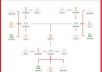 blast BACKLINKS With SenukeX 3 Way Attack