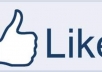 give you 60 real Google plus +1 votes and 25 facebook likes on your page or website 