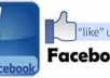 deliver 500+ Facebook likes to any non Facebook URL/Website/Domain/Webpage within 24 hours Guaranteed