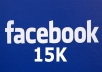 provide you real 555 facebook fan page like