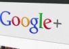 give you 100 phone verified google+ vote on your website only