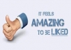 give you 250 facebook fan page lik and 50 real human followers