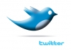 provide ★30,000+ twitter followers★