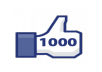 give you 1000 real international facebook likes