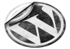 install wordpress cms,plugins and theme for you