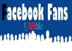 provide +200 Real Facebook Fans on your Facebook page 