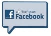 provide150 you website like with Facebook 