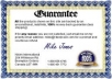 provide you Manual Guaranteed  google+ 100  to your site