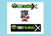 use Senuke X to creates over 2000 ++ Top Quality Backlink on High Pages Rank Sites