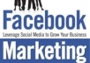 get u 1200+ Facebook Page Likes within 20 hours