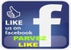 give you 500+500 verified Facebook fans like for your new fan page