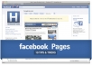 give you a Facebook Fan Page Complete Business Kit
