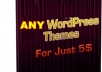 give you Any Wordpress Theme just give me theme URL