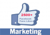 give you 100% verified 2500 Facebook Fan Page LIKE