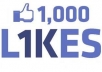 give You 1000 real facebook likes or fans to your facebooks fan page