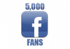 give you 5000+ verified Facebook fan Page Likes