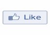 give you 1111 facebook web page like 