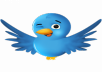 I will provide 3003 twitter follower with out needing