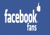 send you +50 Facebook likes 100% Real People