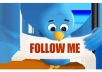 give you 111 twitter followers in 24 hours