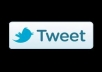 send You 25,000 permanent Twitter Followers In Your Account Within 2 DAYS