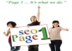 create 1500+ Contextual BACKLINKS from 499+ unique high pr wiki sites